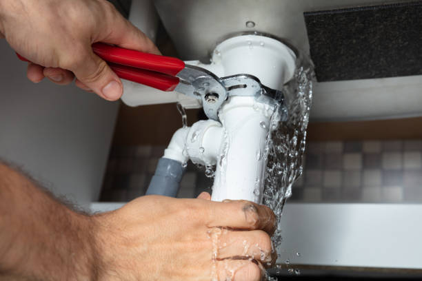Best Basement water damage restoration  in Farmland, IN