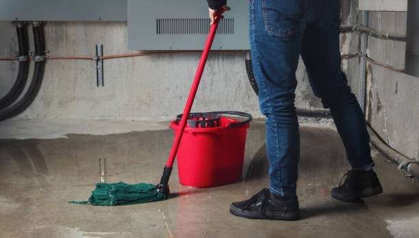 Best 24-hour water damage restoration  in Farmland, IN