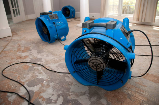 24/7 water damage repair in IN