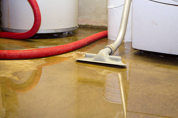 Best Water damage restoration near me  in Farmland, IN