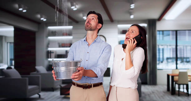 Best Local water damage restoration  in Farmland, IN
